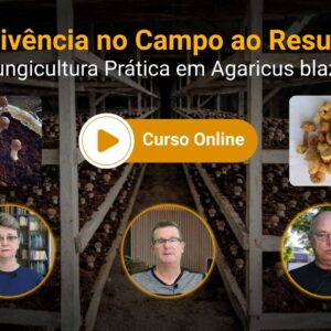 Cultivo de Agaricus blazei