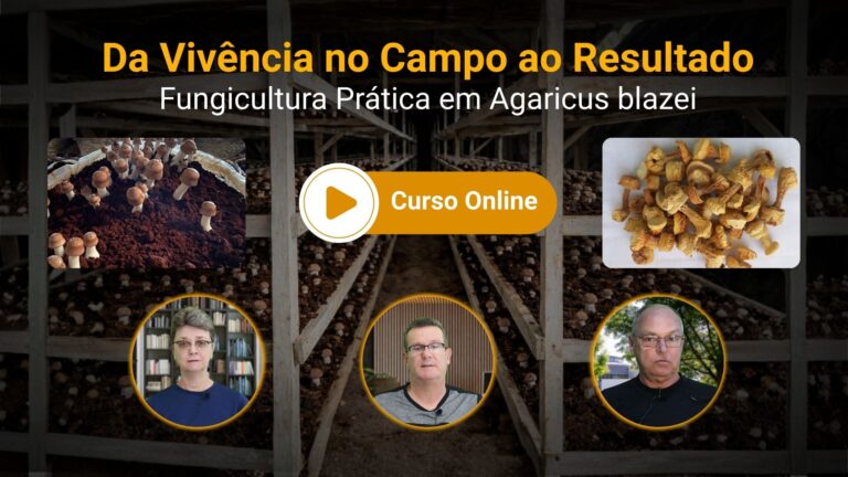 Cultivo de Agaricus blazei